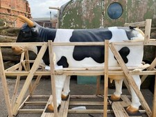 Life-size fiberglass cow