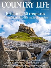 COUNTRY LIFE MAGAZINE 31