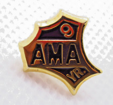 Vintage AMA 9 Year Pin