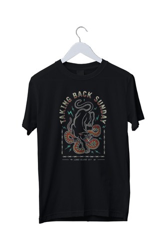 New taking back sunday - new,