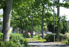 Photo 6x4 Lanchester Road