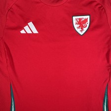 Rare Original Wales 2024/2025