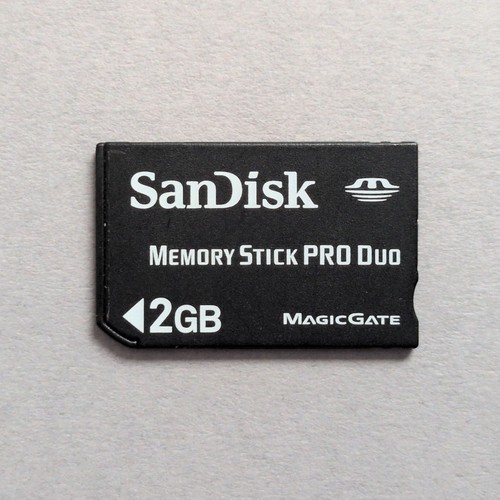 2gb sandisk memory - memory, pro