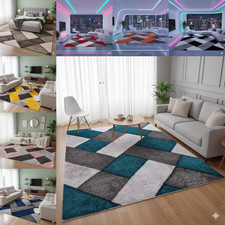 Thick Large Shaggy Rugs Non