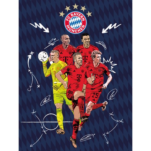 Bayern munich blanket - munich,