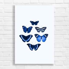 Vibrant Butterfly Assortment Blue Canvas Print Large Picture Wall Art