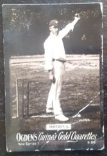 Cricket Cricketer Sports