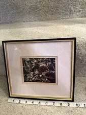 Vintage woodcut the flood - woodcut,