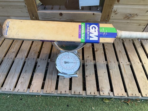 Gunn moore cavalier cricket - gunn,