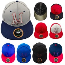 Brand New  hip hop Flex-fit