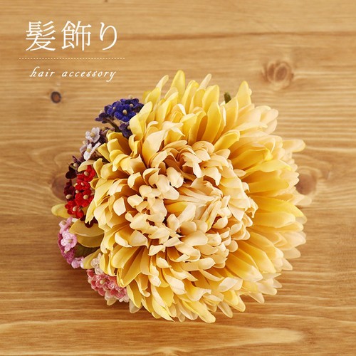 Plus chrysanthemum small - plus,
