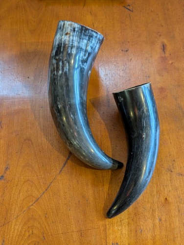 Pair vintage drinking horns - pair,