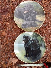 2 black Labrador plates, Frank Heirloom collection