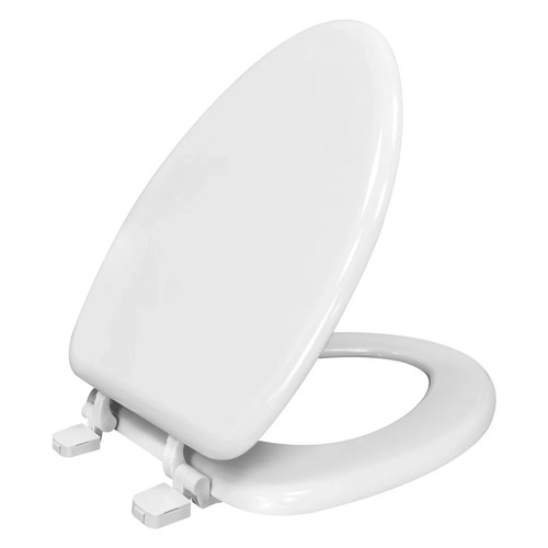 Elongated toilet seat - toilet, in