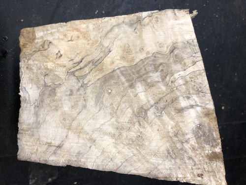 Piece old acer negundo - old,