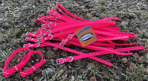 Ferreting collar pink fits - pink,