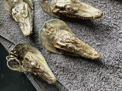 Alligator keyrings vintage - keyrings,