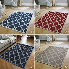 Anti Slip Rug Living Room