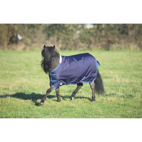 Shires tempest original - tempest,