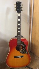 Pro Martin Acoustic Guitar