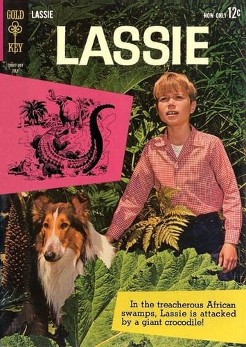 Lassie gold key - #62,