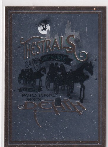 Panini harry potter - potter, to