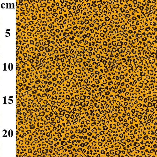 Animal leopard print cheetah - print,