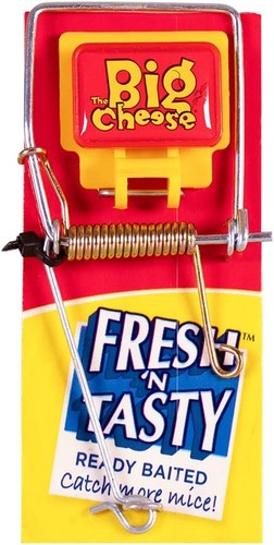 The big cheese fresh - big, baited