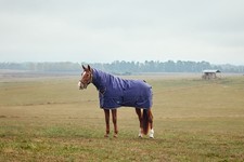 Weatherbeeta Comfitec Tyro