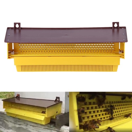 Hanging pollen trap collector - pollen,