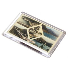 Fridge magnet vintage wales - fridge,