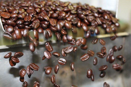 World tour fresh roasted - world,