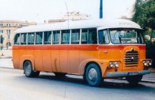 BUS PHOTO PHOTOGRAPH BEDFORD