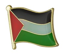 Palestine Flag Lapel Pin Badge