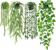 Hanging Plants in Pots Set of