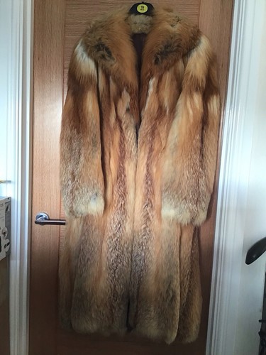 Beautiful full length red fox - beautiful,
