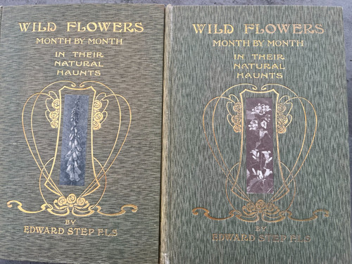 Wild flowers month - by,