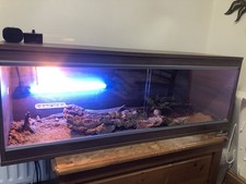 Reptile Vivarium 