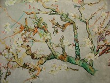 Japanese Cherry Blossom Tree