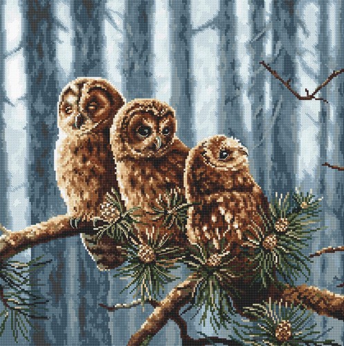 Owls family cross stitch kit - owls,