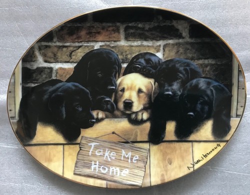 Dog decorative plate - dog,