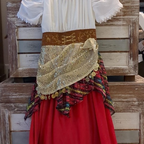 Costume gypsy fortune teller - gypsy,