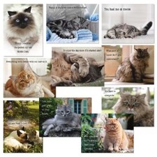 Funny Cat “Cattitude” Note