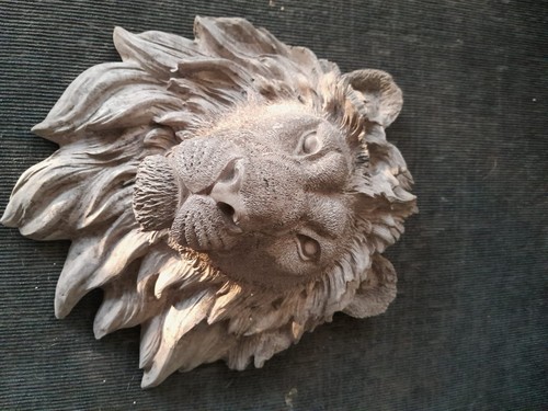 Chocolate brown concrete - , lion