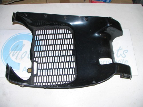 Bmw kidney grille radiator - kidney,