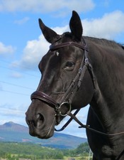 FSS PATENT GLOSS Comfort