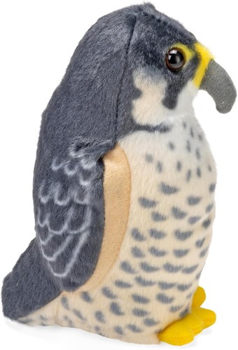 Audubon bird peregrine falcon - audubon,