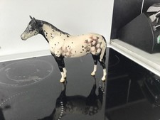 Beswick Appaloosa Stallion No