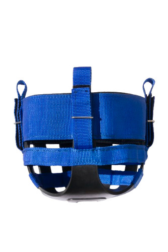 Zephyr grazing muzzle one - muzzle,