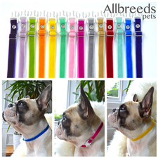Allbreeds Puppy Velvet I.D